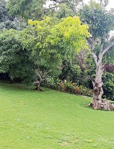 Hillside Retreat * Montego Bay